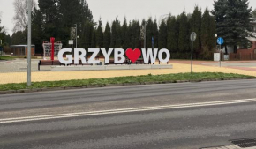 Apartament Słoneczny Bałtyk-Grzybowo